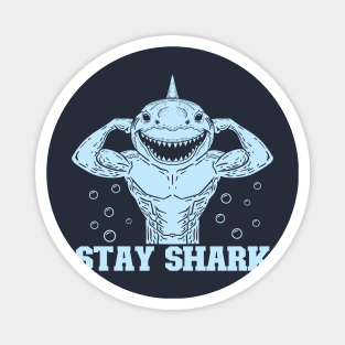 Stay Shark Magnet